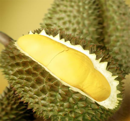 diendanbaclieu-94709-durian.jpg