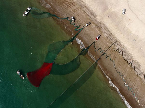 diendanbaclieu-96414-fishing-nets-fujairah68264600x450.jpg