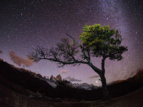 diendanbaclieu-96414-tree-stars-patagonia68271600x450.jpg