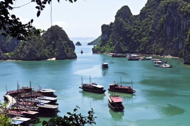 diendanbaclieu-51716-halong-686-1608361417.jpg