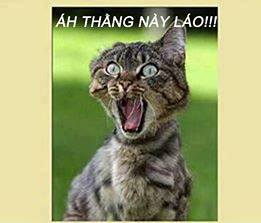 diendanbaclieu-98636-share99-net-anh-doc-dao-chen-vao-comment-facebook-115.jpg