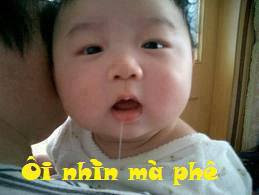 diendanbaclieu-98636-share99-net-anh-doc-dao-chen-vao-comment-facebook-125.jpg