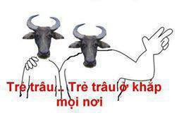 diendanbaclieu-98636-share99-net-anh-doc-dao-chen-vao-comment-facebook-134.jpg