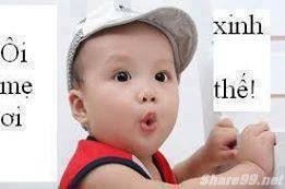 diendanbaclieu-98636-share99-net-anh-doc-dao-chen-vao-comment-facebook-159.jpg