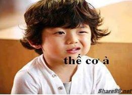 diendanbaclieu-98636-share99-net-anh-doc-dao-chen-vao-comment-facebook-41.jpg