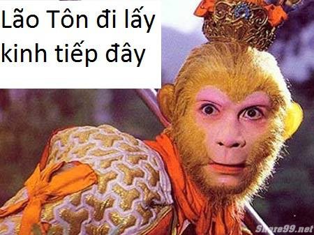 diendanbaclieu-98636-share99-net-anh-doc-dao-chen-vao-comment-facebook-73.jpg