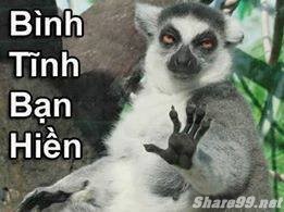 diendanbaclieu-98636-share99-net-anh-doc-dao-chen-vao-comment-facebook-79.jpg