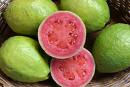 diendanbaclieu-55002-guava.jpg