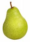 diendanbaclieu-55002-pear.jpg