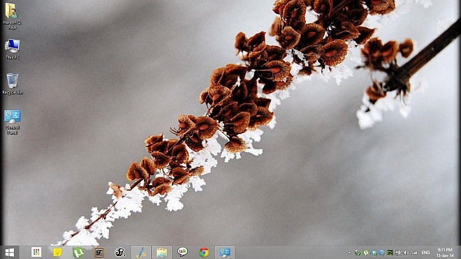 diendanbaclieu-110952-winter-garden-theme-for-windows-8-1.jpg