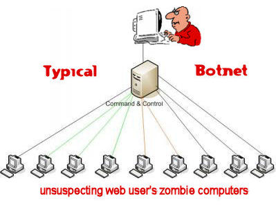 diendanbaclieu-112604-botnet.jpg