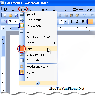 diendanbaclieu-113744-thanh-ruler-trong-word-2003.png