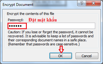 diendanbaclieu-118676-cach-dat-mat-khau-cho-file-excel-2007-1.png