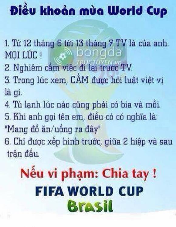 diendanbaclieu-121678-anh-che-world-cup10.jpg