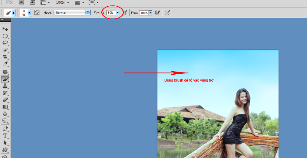 vforum.vn-131781-6672126123-35beb494e9-b.jpg