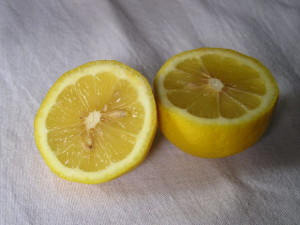 vforum.vn-132114-lemon-300x225.jpg