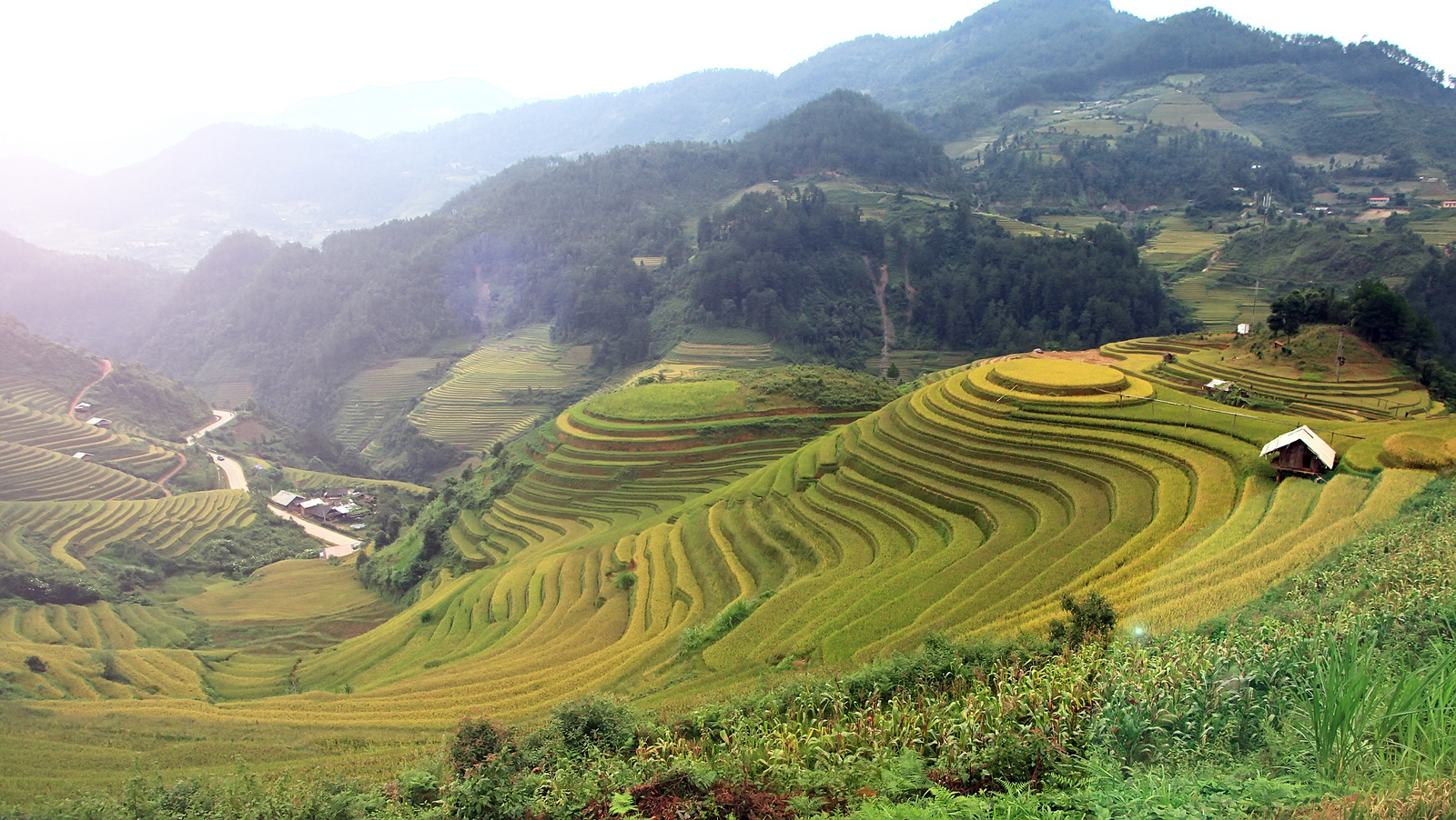 Hình nền thiên nhiên Việt Nam tuyệt đẹp - Ruộng bậc thang Mù Cang ...