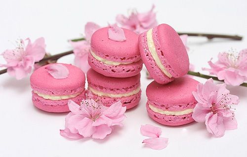 vforum.vn-132245-macaron.jpg