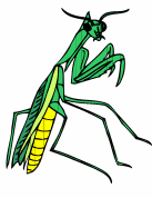 vforum.vn-141203-insect-23.gif