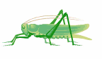 vforum.vn-141203-insect-3.gif