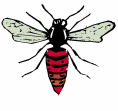 vforum.vn-141203-insect-9.gif