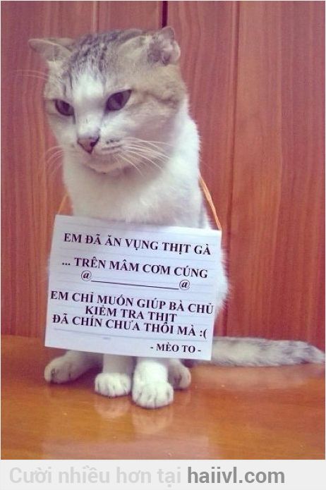 vforum.vn-158842-460-15e6614e-6e21-46b9-9b90-43b8206b5dcc.jpg