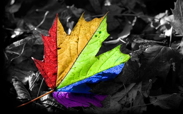 vforum.vn-166734-cool-wallpapers-13.jpg
