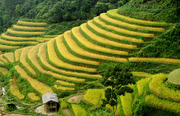 vforum.vn-222887-2bd4fec4-a617-47f3-bafa-46bb6488822b-zpsh6r6yycr.jpg