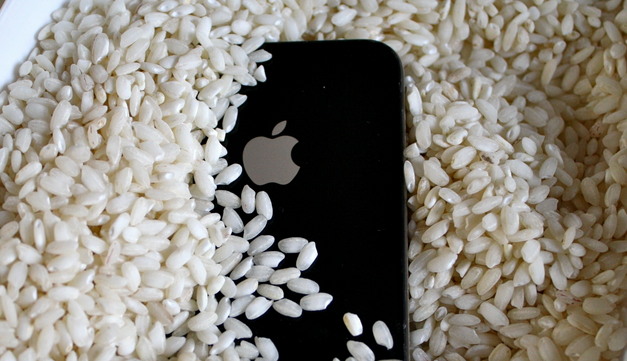 vforum.vn-243523-iphone-in-rice.png