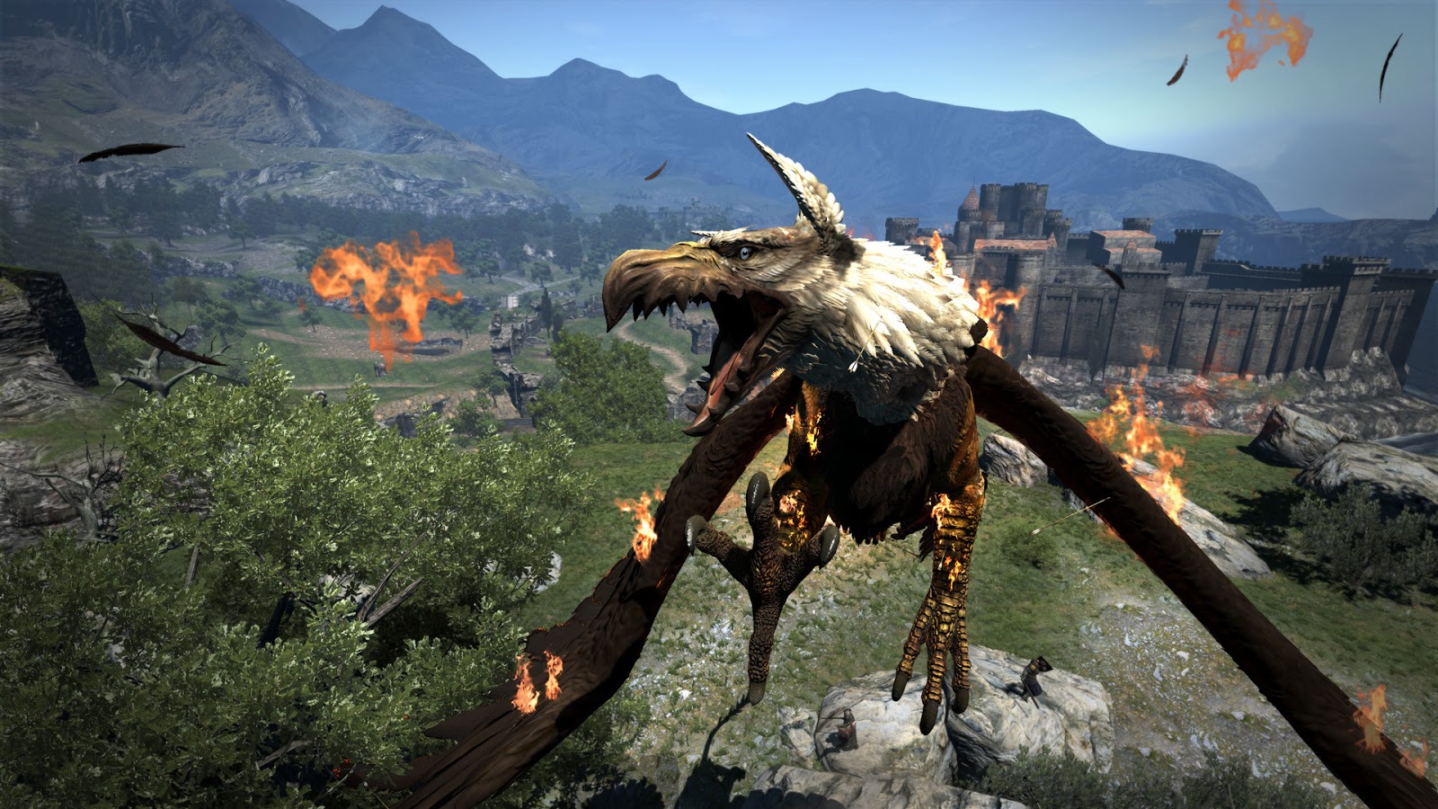 vforum.vn-272045-dragons-dogma-dark-arisen-codex-www-aeioun-003.jpg