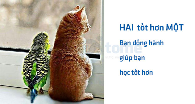 vforum.vn-288429-ban-dong-hanh-giup-ban-hoc-tot-hon.jpg