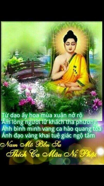 vforum.vn-309371-10985369-1614351205489174-303165423314658715-n.jpg