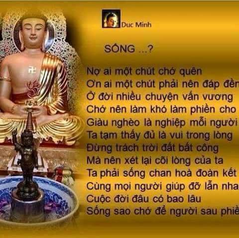 vforum.vn-309371-11700887-1614350952155866-6850046550174301756-n.jpg
