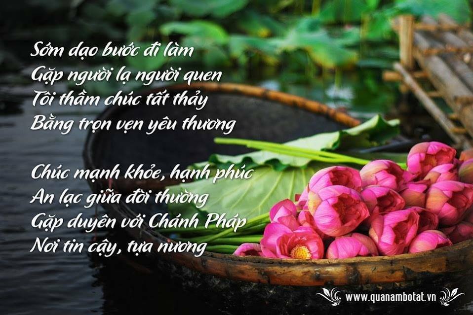 vforum.vn-309371-11737882-1614351068822521-2740761518698373188-n.jpg